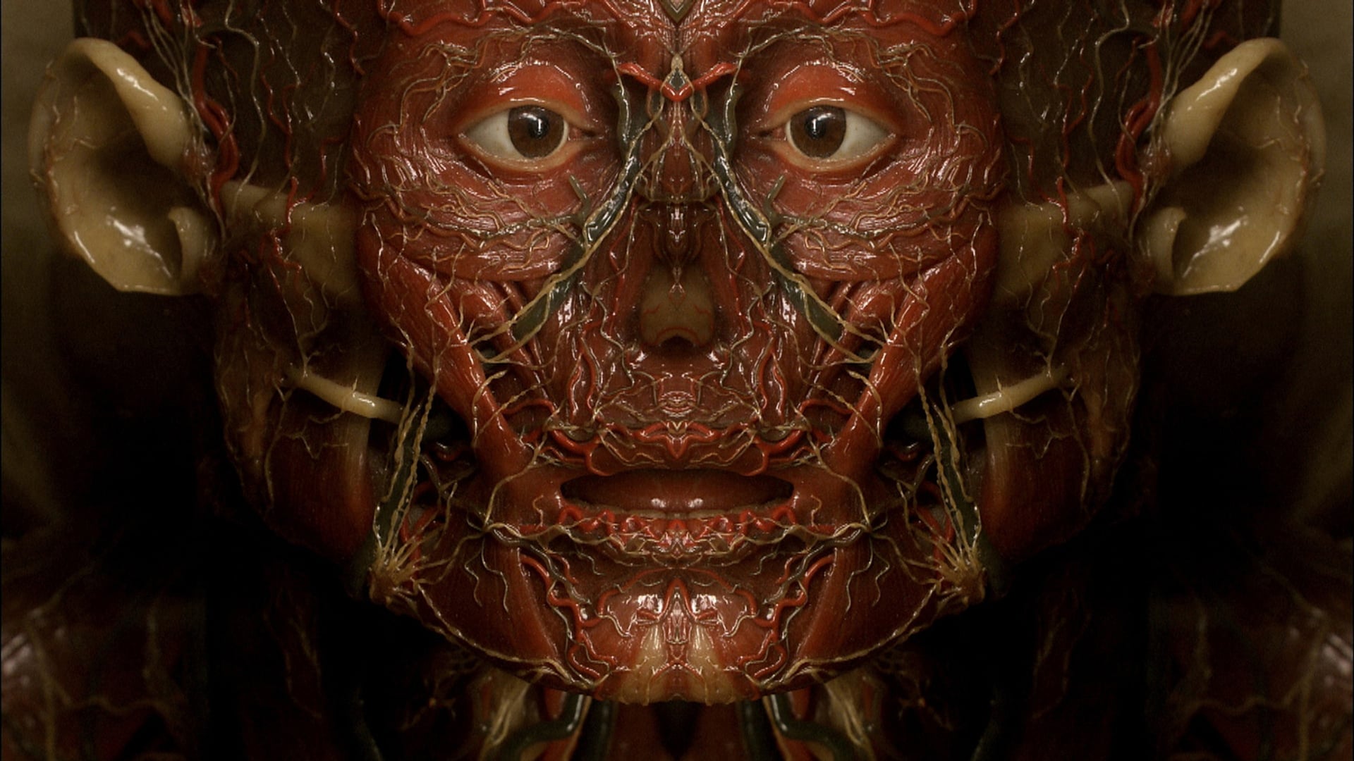 Petite Anatomie de l'image