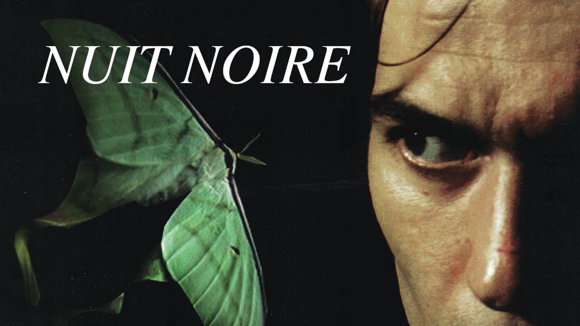 Nuit noire